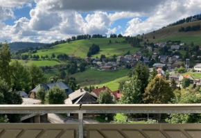 GLÜCKAUF by Schwarzwaldquartier Sauna im Haus Skilift und Loipe in direkter Nähe Traumblick Tiefgarage E-Ladestation